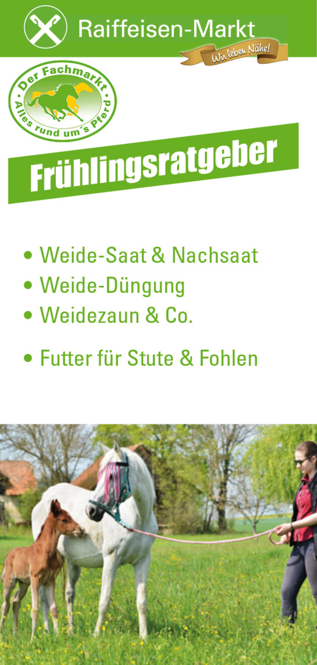 Frühlingsratgeber Pferd